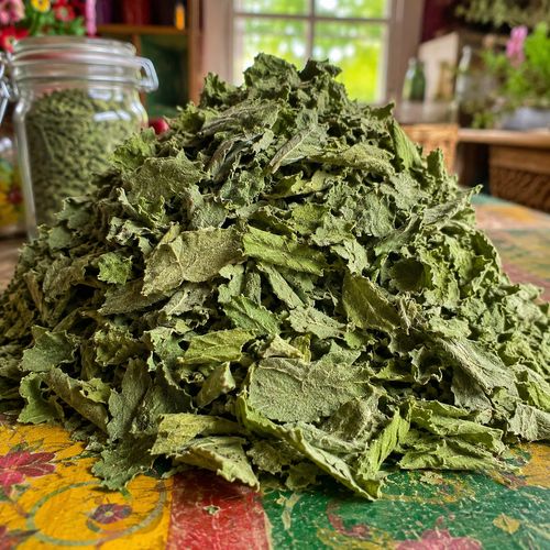 A pile of dried green leafy herbs or tea leaves sits on a colorful patterned surface, with a glass jar of similar dried herbs in the background.