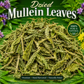 A pile of dried mullein leaves centered on a green leafy background with purple flowers at the corners. Large text reads 'Dried Mullein Leaves,' with a circular badge saying '100% Pure & Natural' and a bottom banner reading 'Premium • Hand Harvested • Naturally Dried.