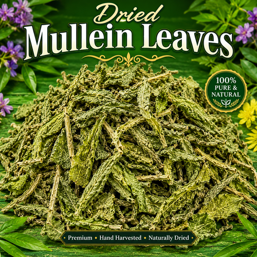 A pile of dried mullein leaves centered on a green leafy background with purple flowers at the corners. Large text reads 'Dried Mullein Leaves,' with a circular badge saying '100% Pure & Natural' and a bottom banner reading 'Premium • Hand Harvested • Naturally Dried.