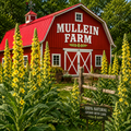 red barn