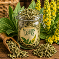 Freshly dried mullein leaves filling a quart-size glass jar, showing the natural green color and texture of the whole dried leaves.