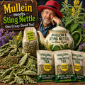 A styled promotional scene for Mullein meets Sting Nettle tea featuring a smiling man in a red hat and blue shirt surrounded by dried herbs, live plants, a large teapot, and several tea bags and tea bag packs. Large text reads 'Mullein meets Sting Nettle' and 'One Crazy Good Tea!'.