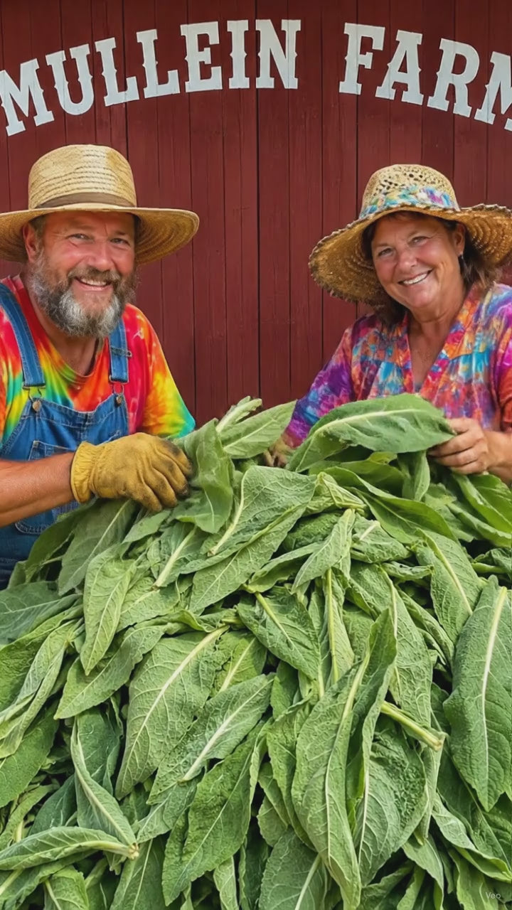 Mullein Farmers Sing