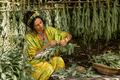 Woman in a yellow patterned dress working with green leaves in a natural setting